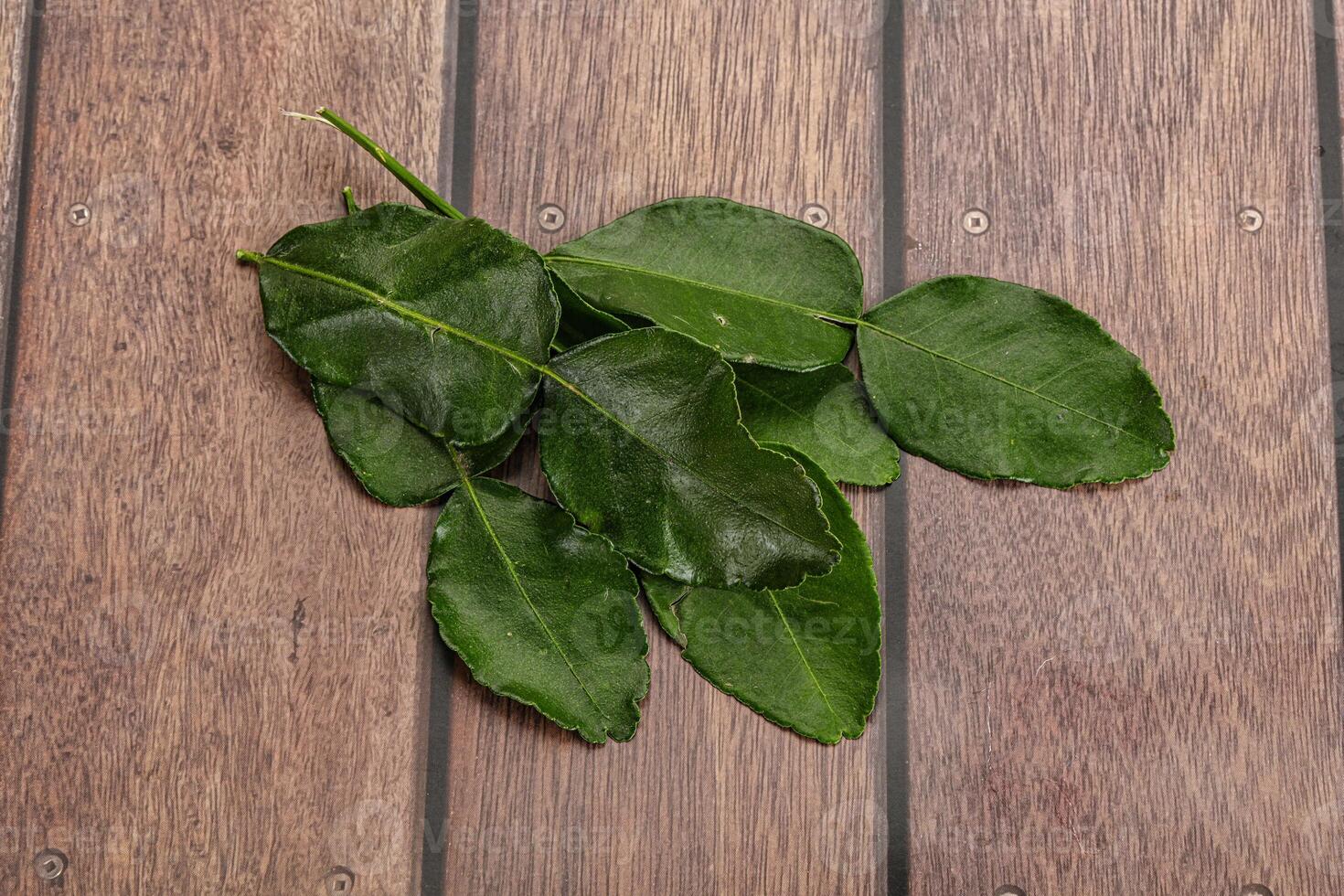 Aroma seasoning kaffir lime leaves photo