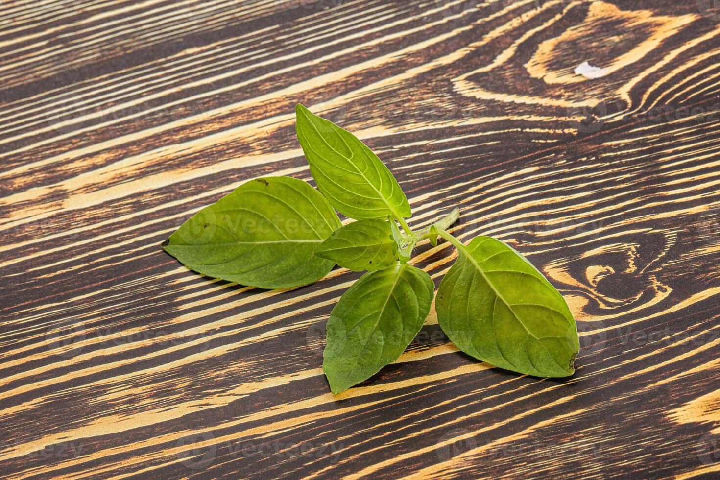 Raw green basil leaves seasoning photo