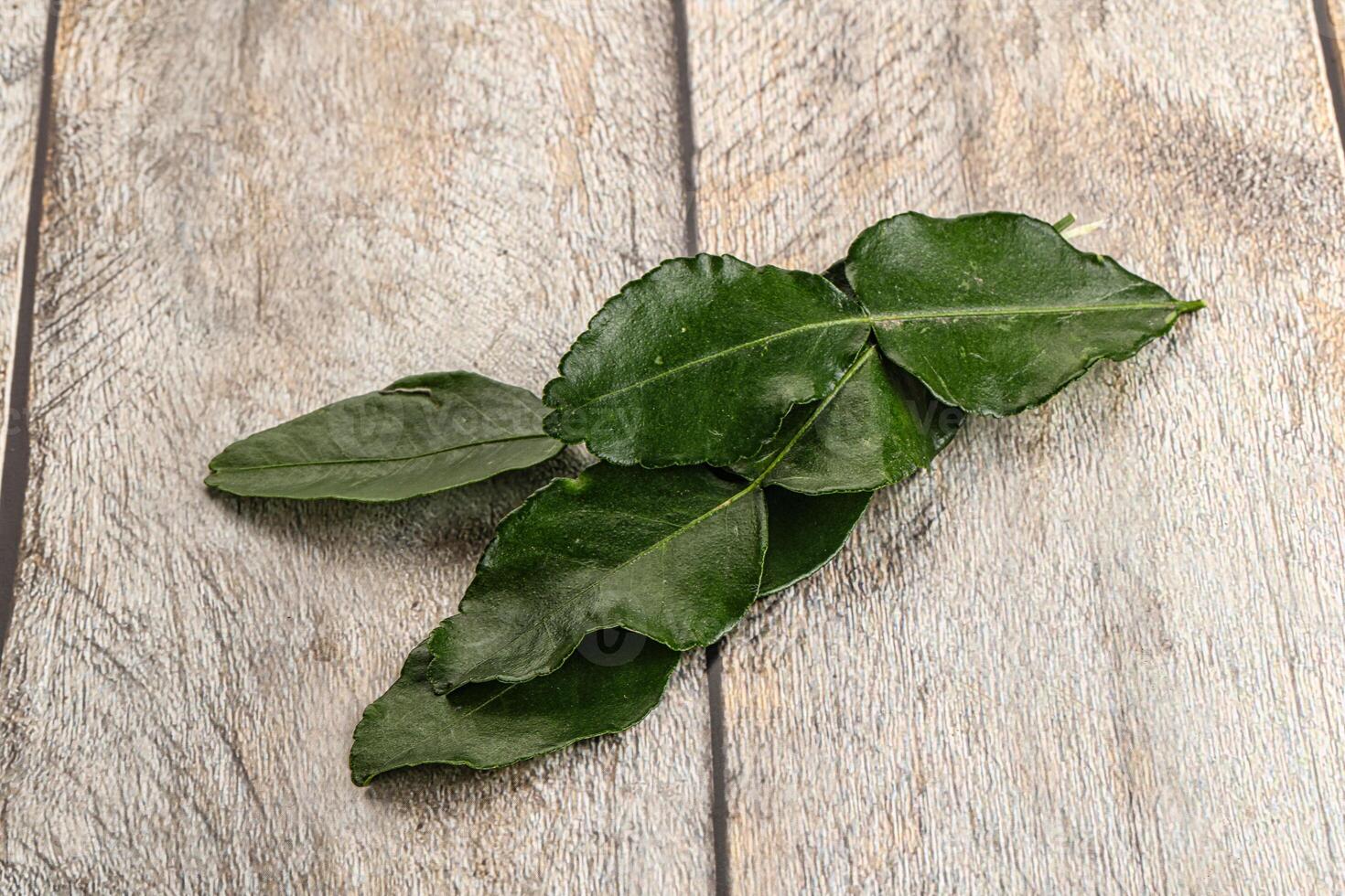 Aroma seasoning kaffir lime leaves photo