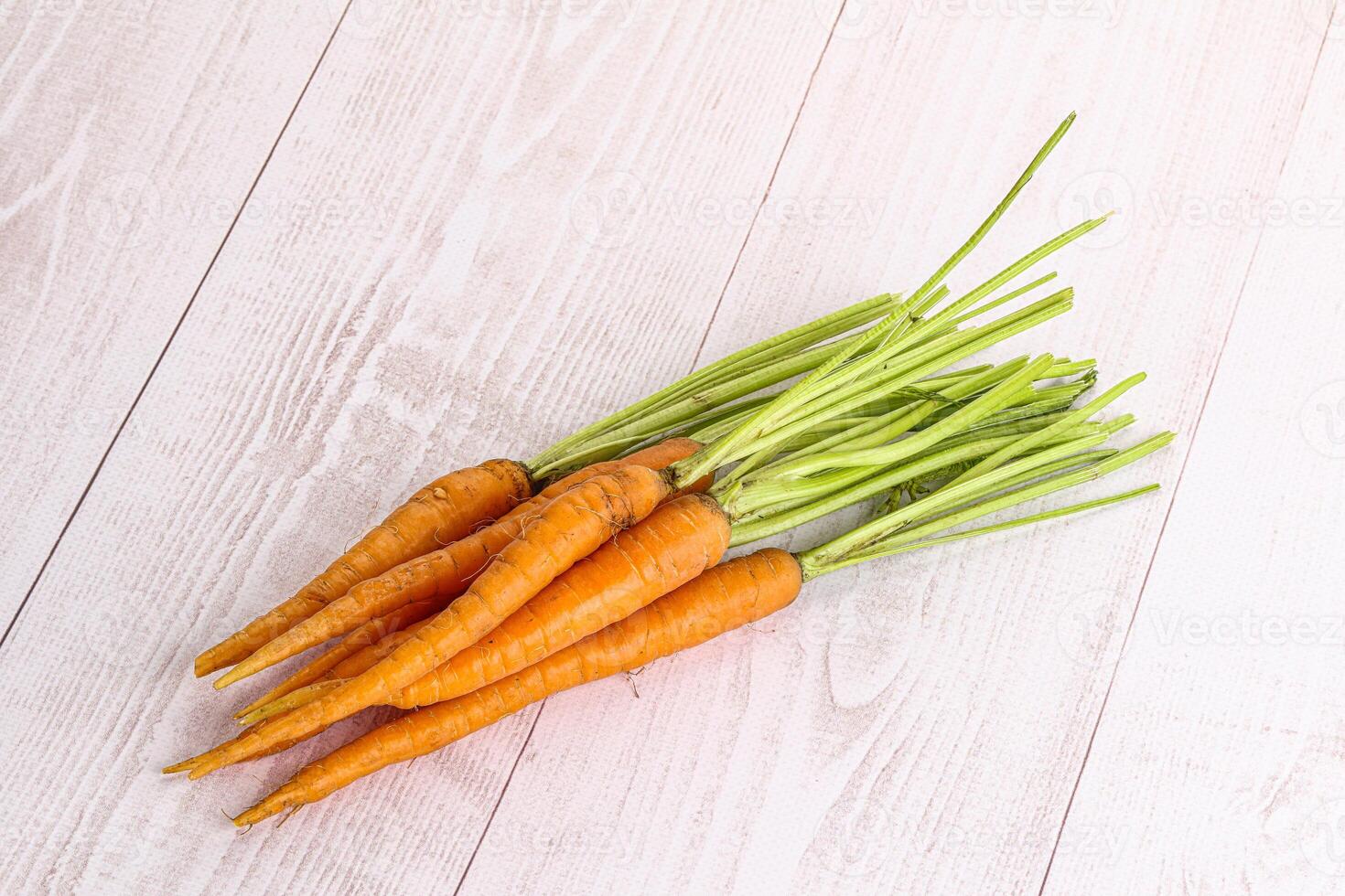 Young raw carrot heap isolated photo