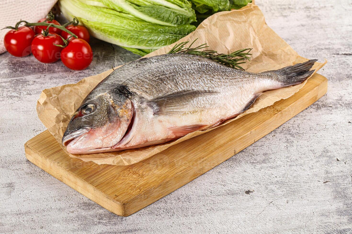 Raw dorada fish served rosemary photo