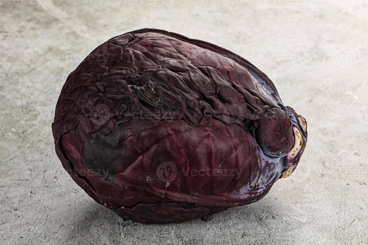 Natural organic violet cabbage head photo