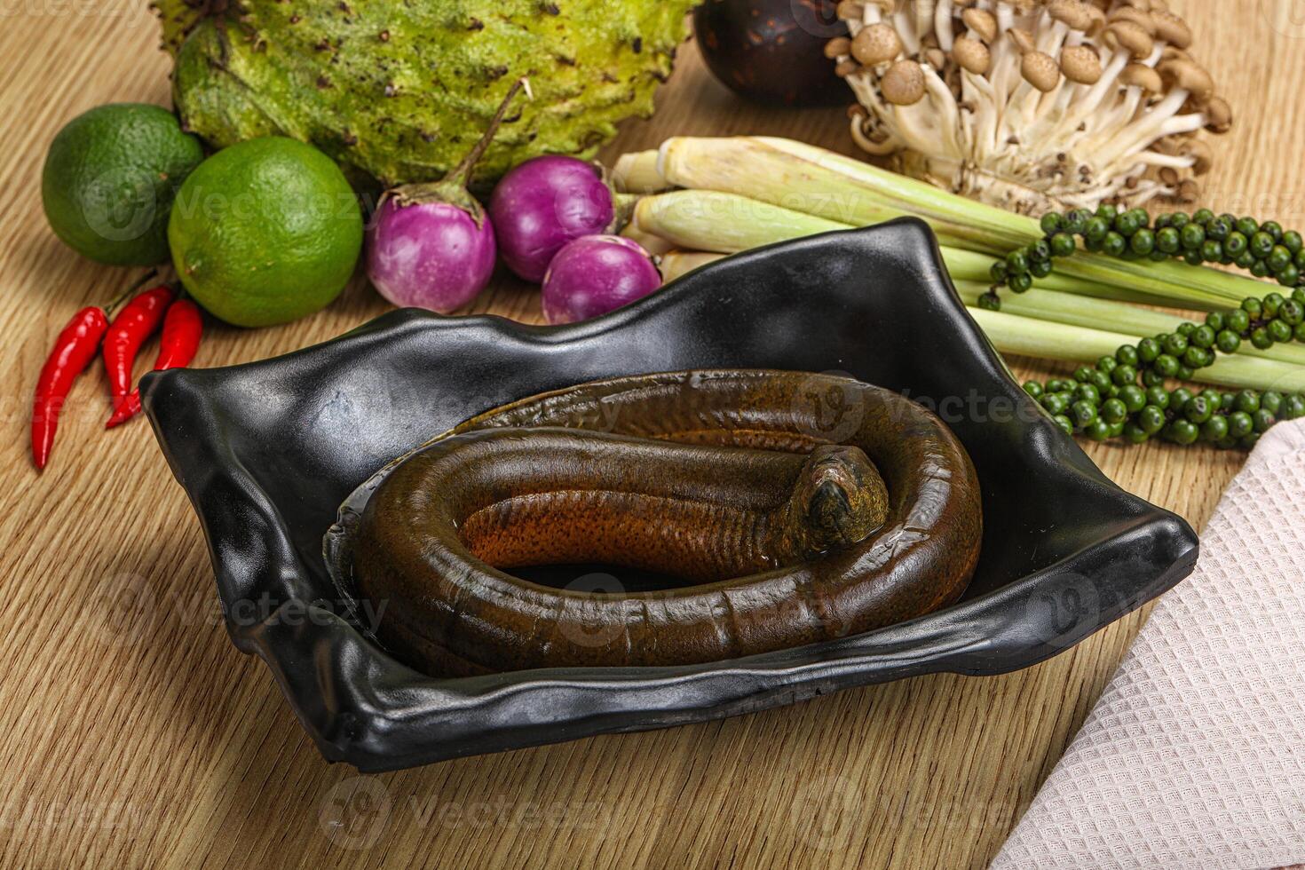 Fresh raw uncooked eel for grill photo