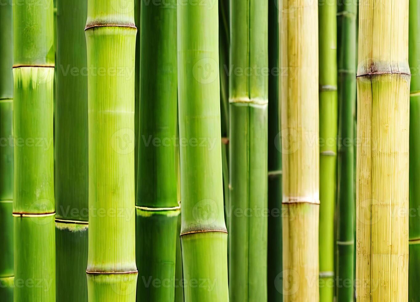 AI generated Detail of a bamboo tree photo