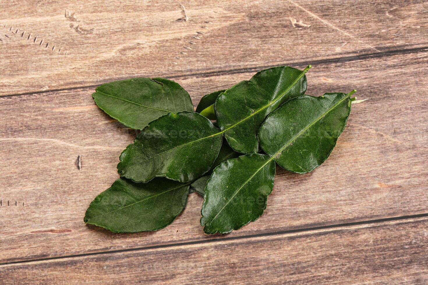 Aroma seasoning kaffir lime leaves photo