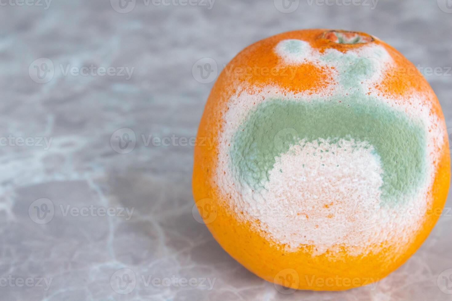 Moldy orange fruit on table. Mildew covered food. Concept of wasting food. photo