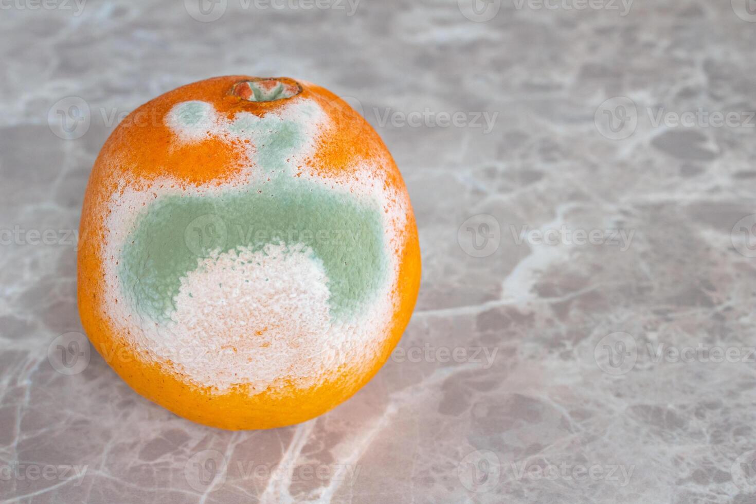 Moldy orange fruit on table. Mildew covered food. Concept of wasting food. photo