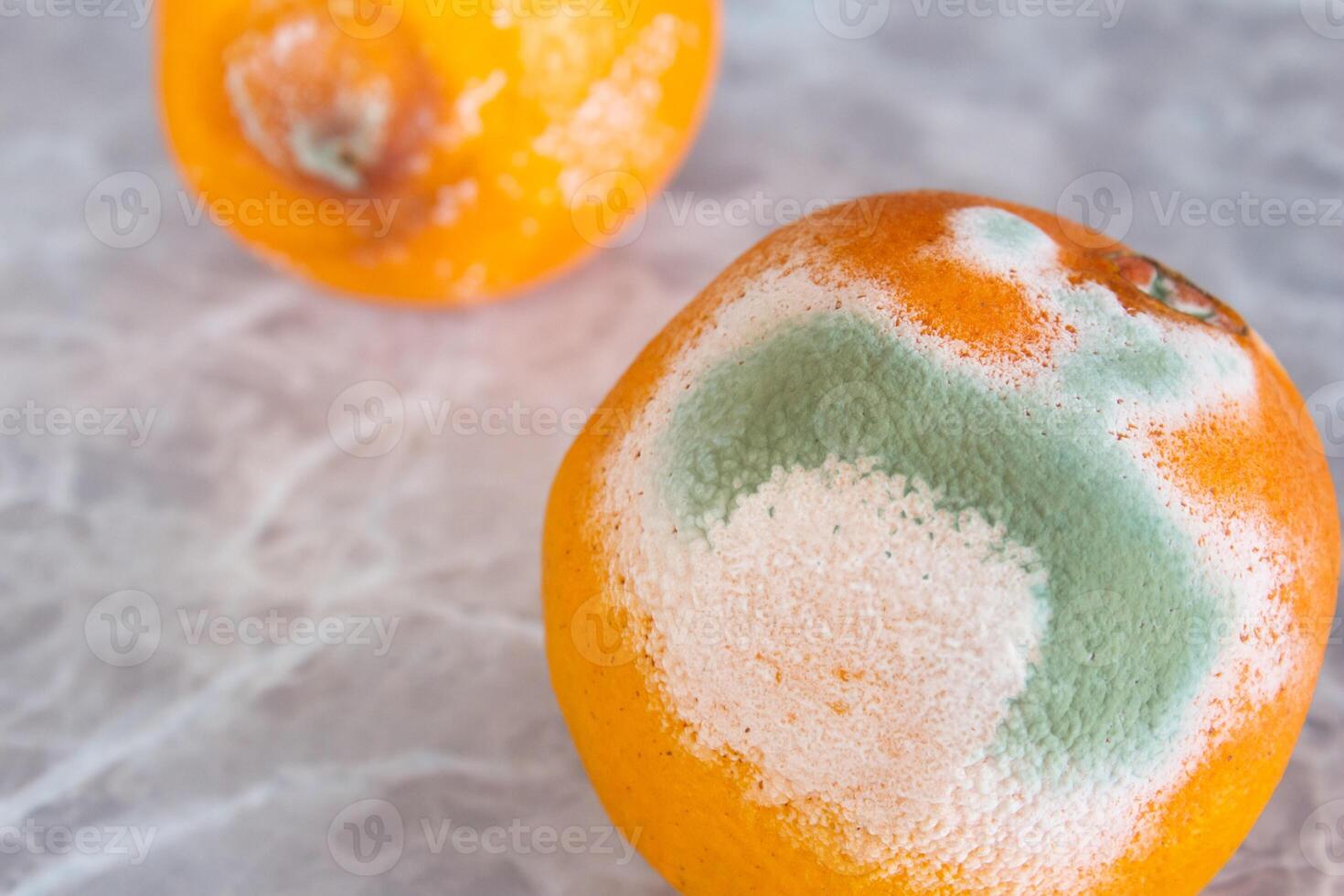 Moldy orange fruit on table. Mildew covered food. Concept of wasting food. photo