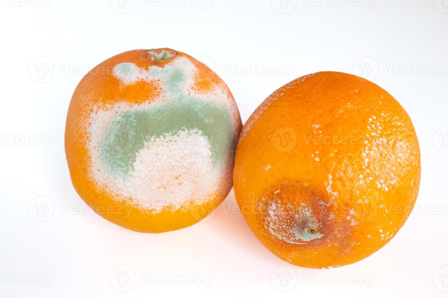 Moldy orange fruit isolated on white background. Mildew covered food. photo