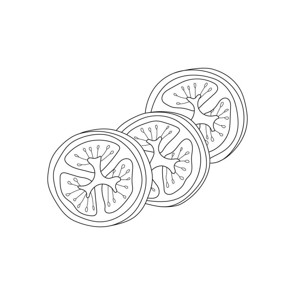 Tomatoes cut into doodle-style circles. tomatoes in circles in the style of line art vector