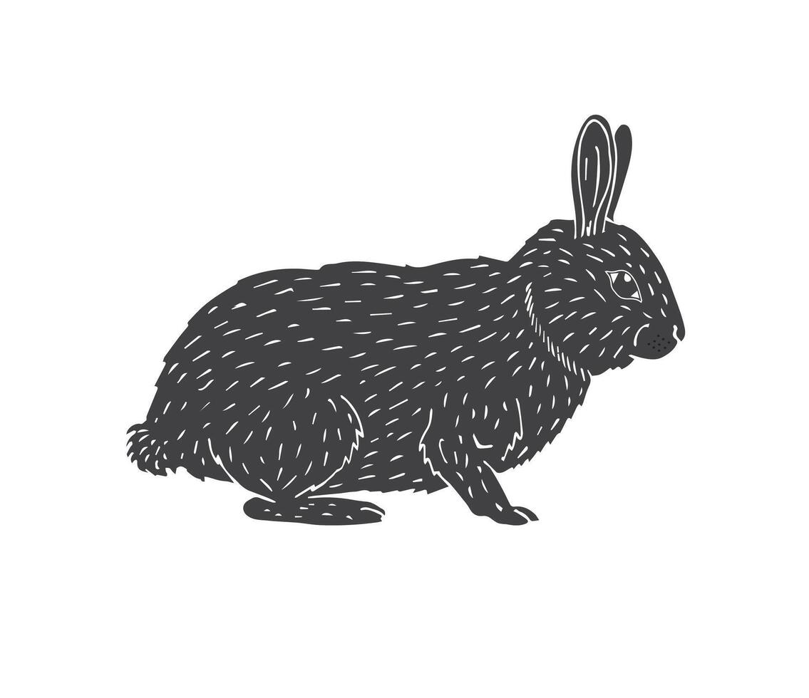 Vector hand drawn doodle sketch bunny rabbit