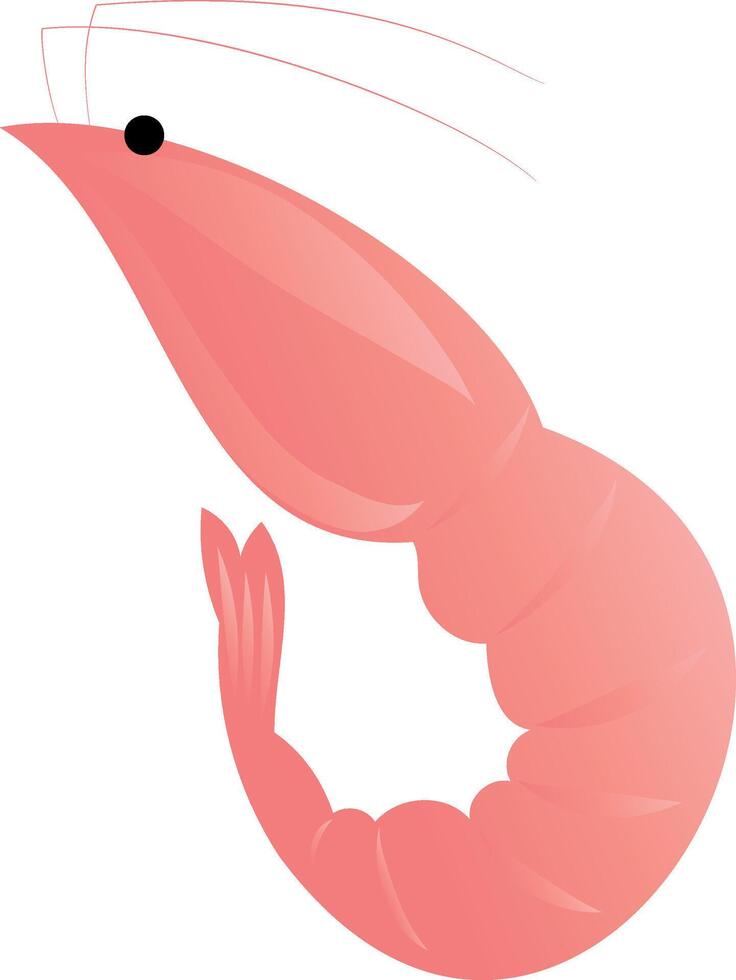 Pink Shrimp in flat style, fresh sea food. Isolated on white background. Vector illustration.