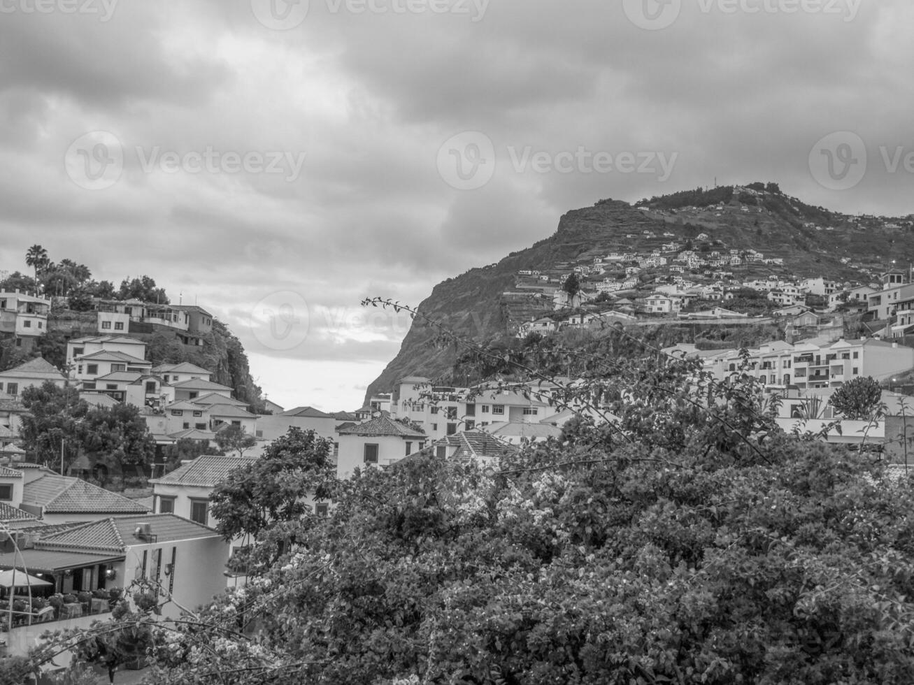 Madeira island in portugal photo