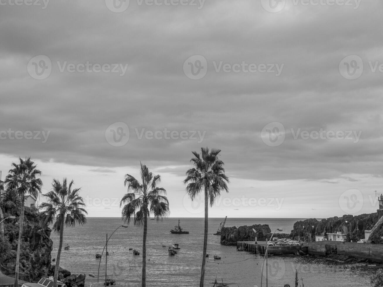 Madeira island in portugal photo