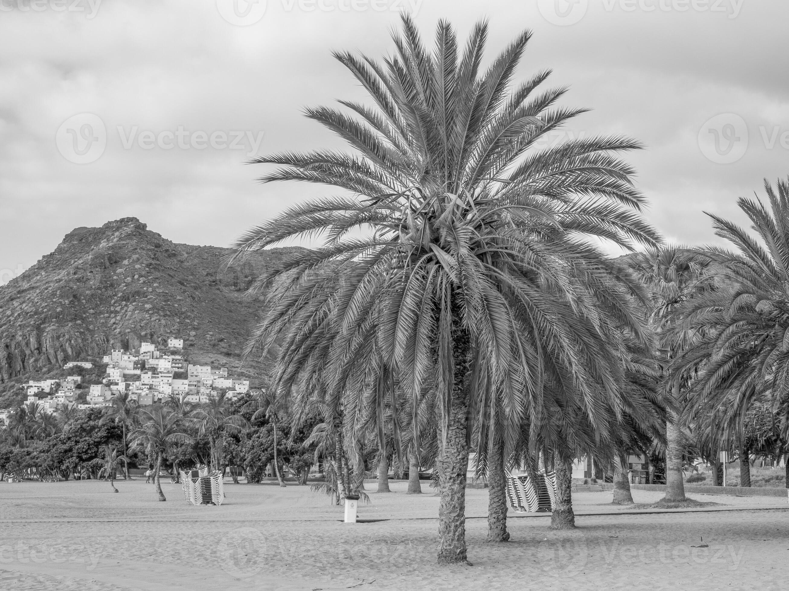 tenerife island in spain 37996879 Stock Photo at Vecteezy