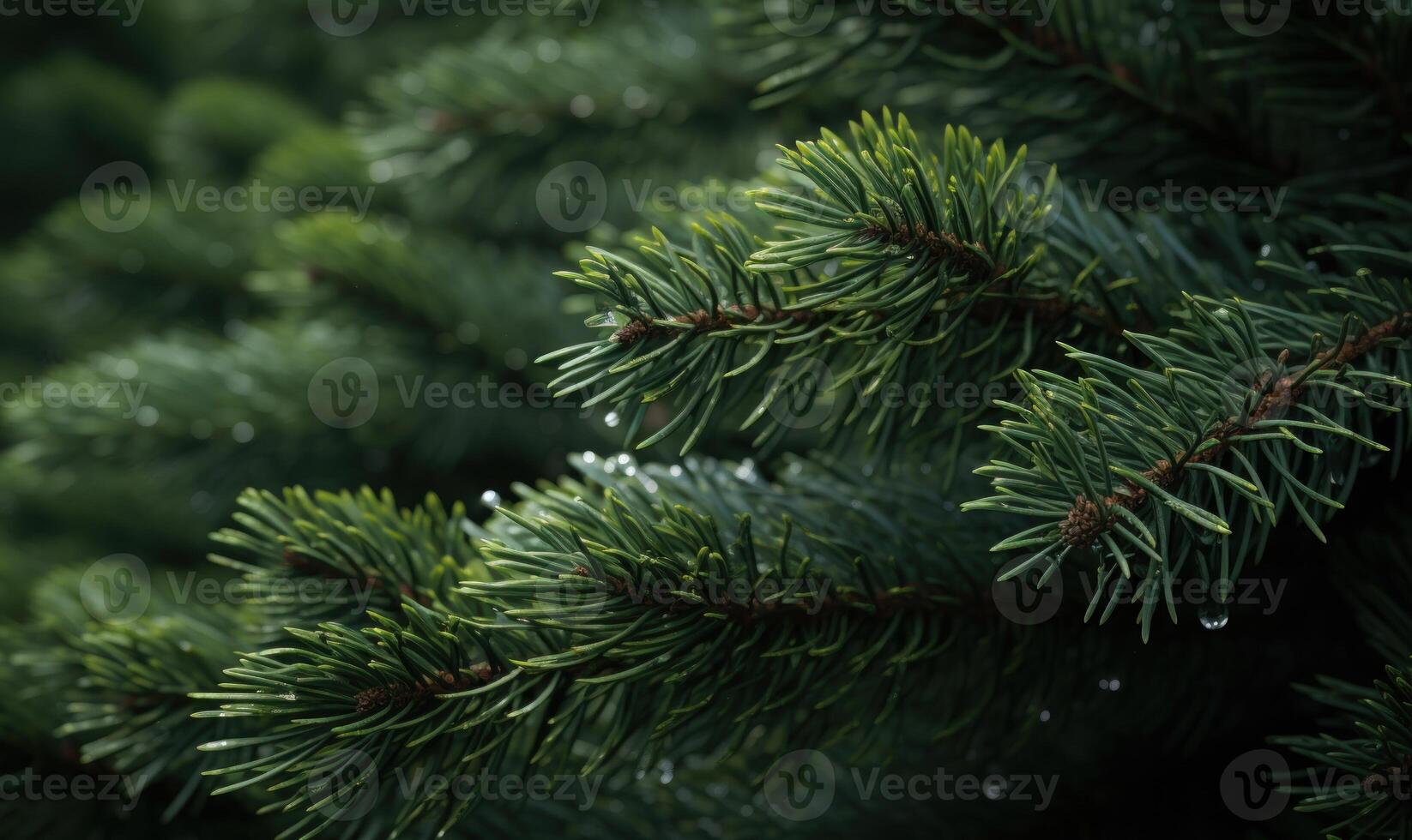 AI generated Close-up of spruce branches with red berries on blurred background photo