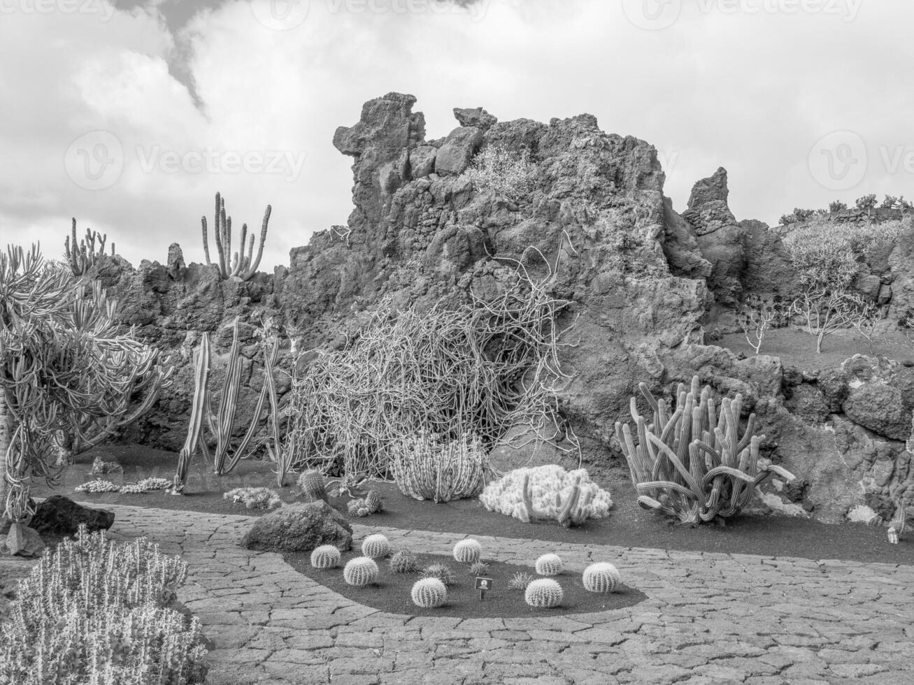 the island of Lanzarote photo