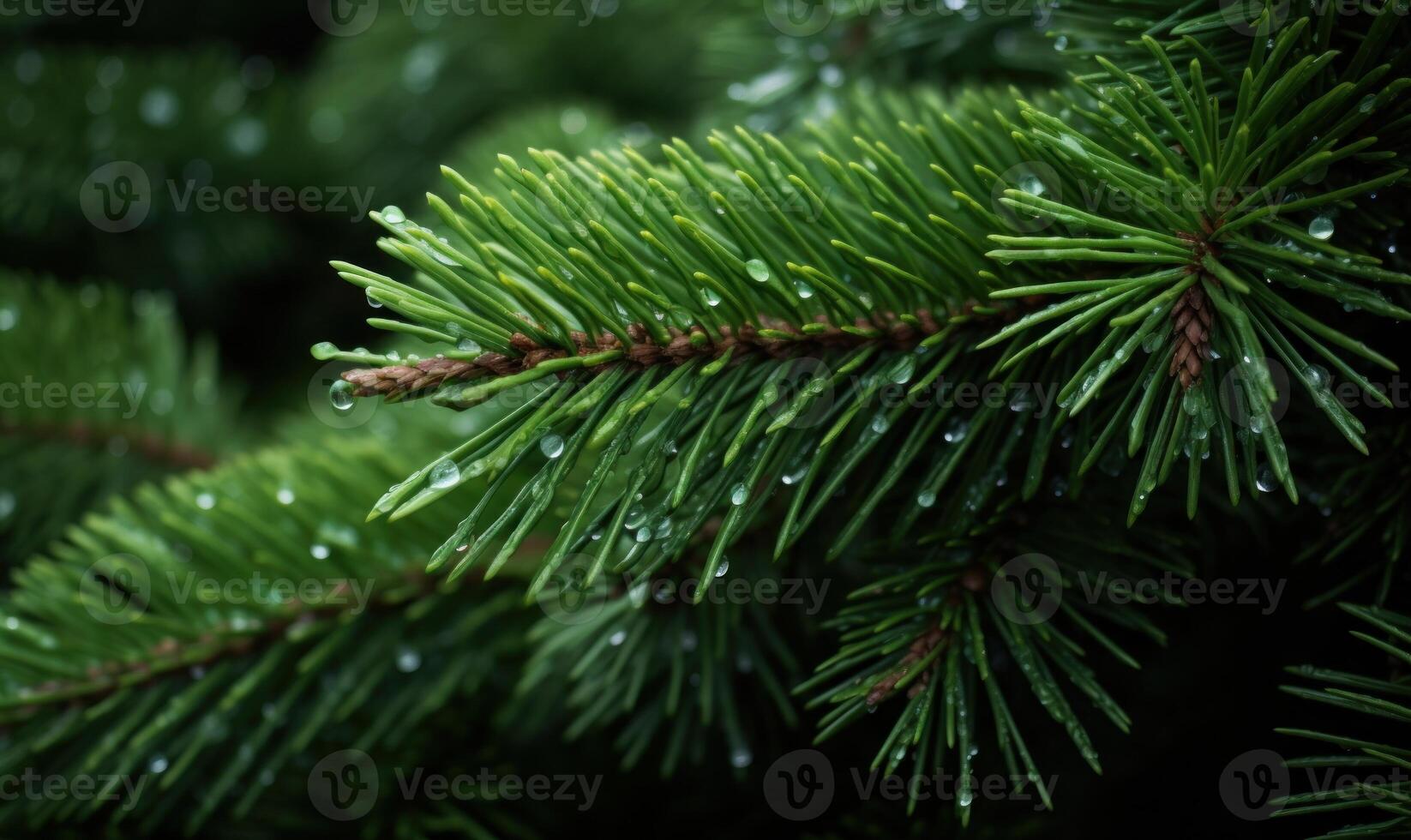 AI generated Fir tree branch with water drops close-up. Natural background photo