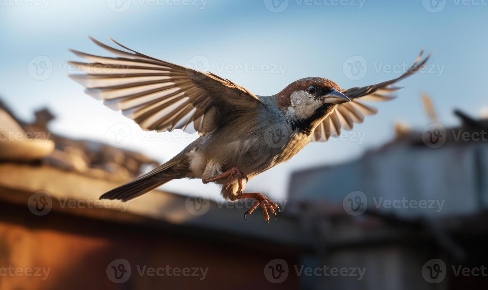 AI generated A sparrow flies in the air on a background of buildings. photo