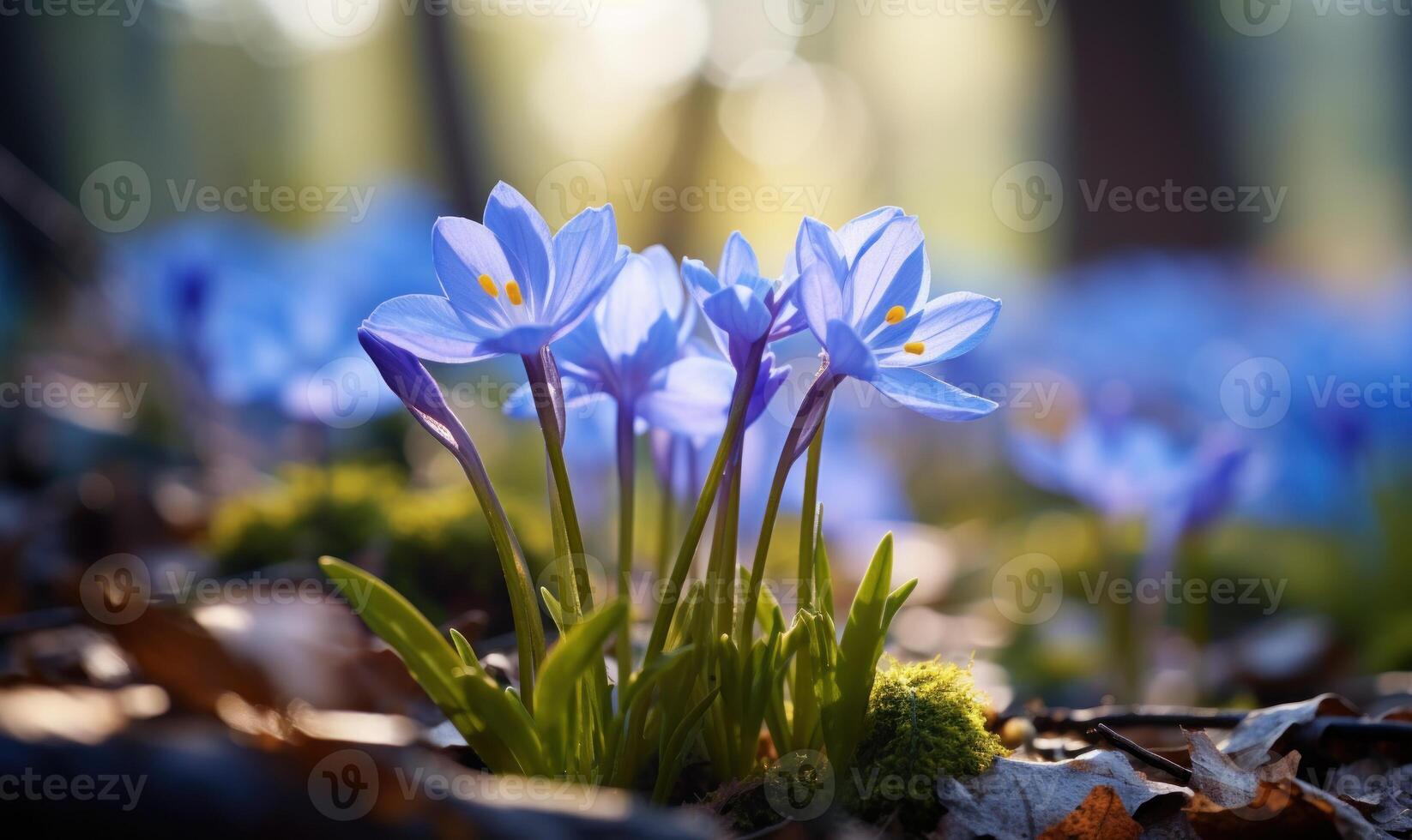 AI generated Spring flowers in the forest. Beautiful nature scene with blooming blue flowers. photo