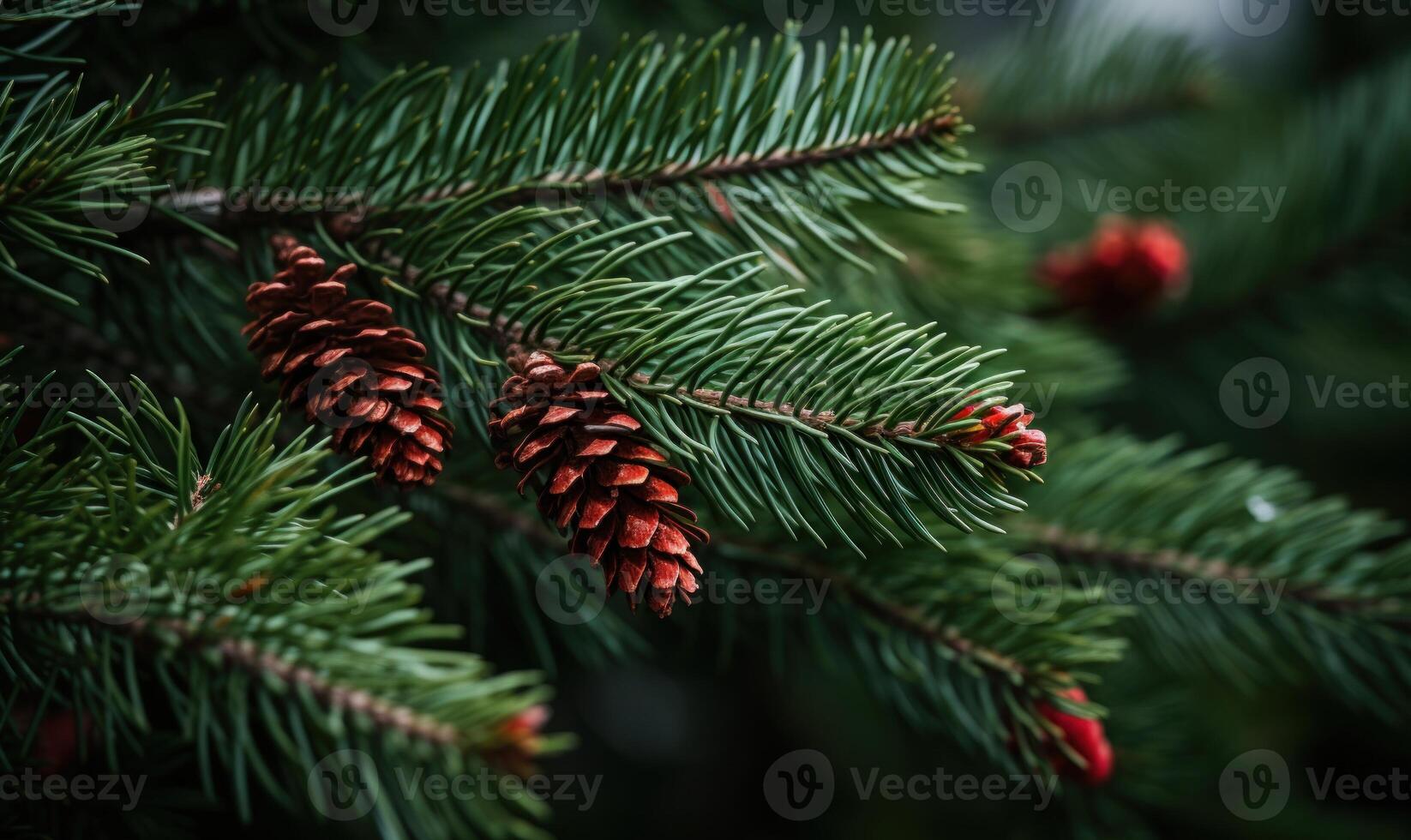 AI generated Spruce branches with cones. Blurred background. photo