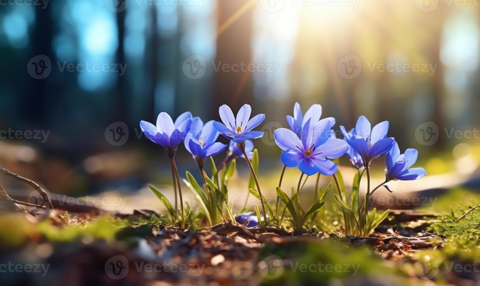 AI generated Spring snowdrop flowers. Beautiful nature scene with blooming forest flowers. photo