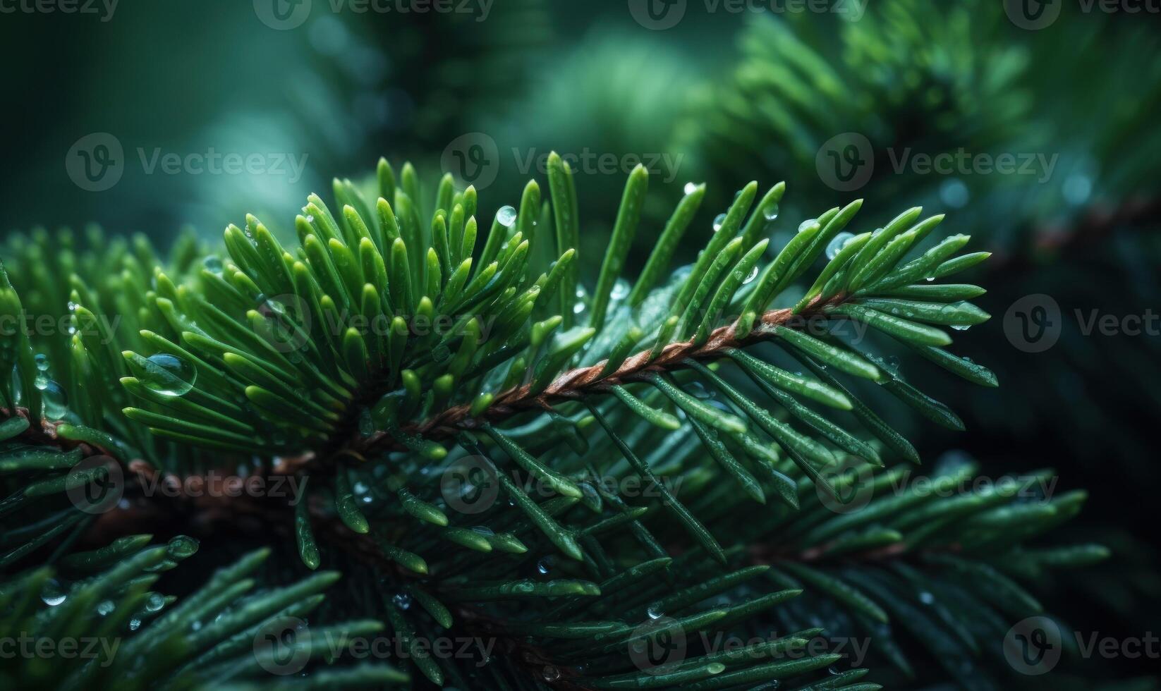 AI generated Pine branches with dew drops close-up. Nature background photo
