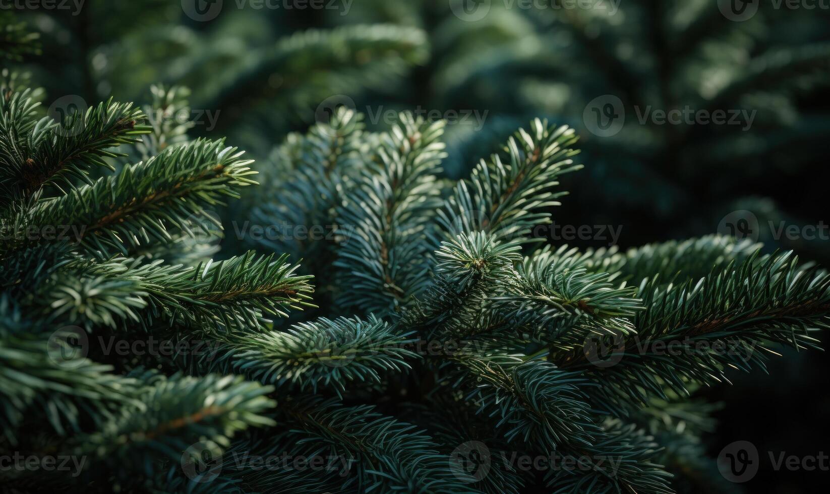 AI generated Close-up of spruce branches with red berries on blurred background photo