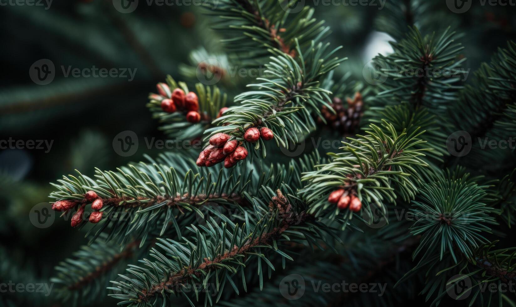 AI generated Pine tree branch with cones close-up. Nature background. photo