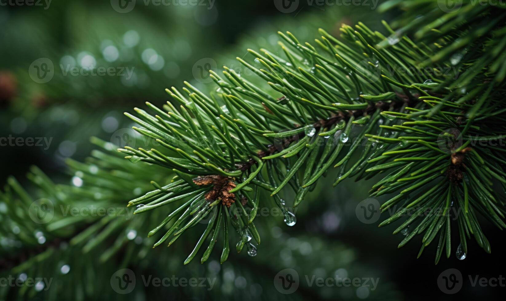 AI generated Fir tree branch with water drops close-up. Natural background photo