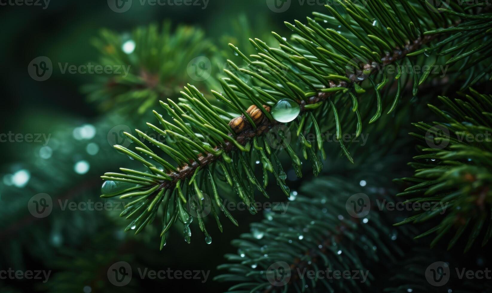 AI generated Green spruce branches with dew drops close-up. Natural background photo