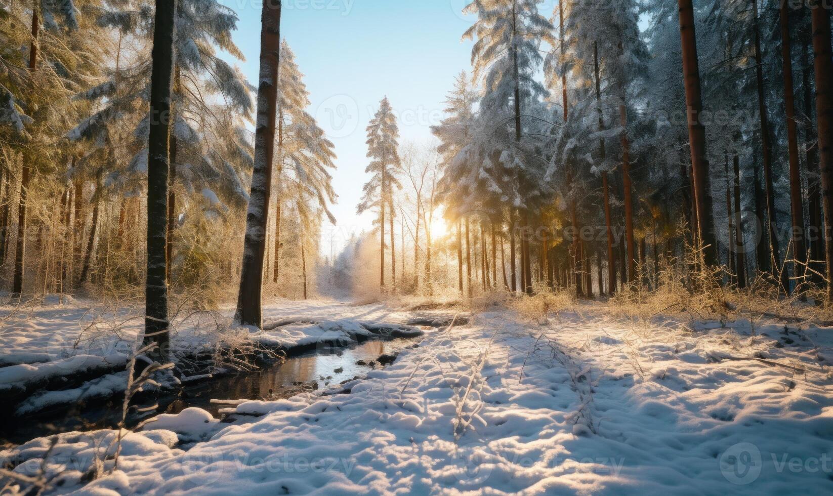 AI generated Beautiful winter landscape with snow covered trees in forest at sunrise. photo