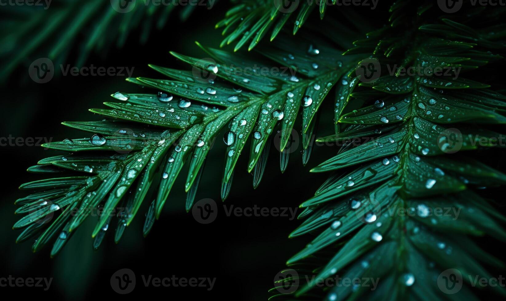 AI generated Raindrops on the leaves of the spruce, close-up photo