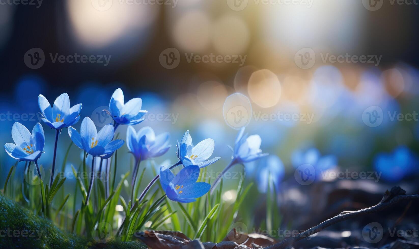 AI generated Blue crocus flowers in the forest. Early spring. Nature background photo