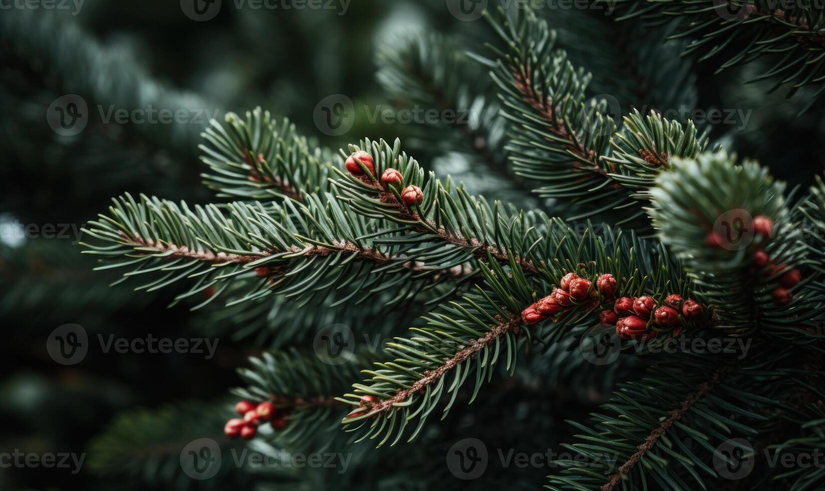 AI generated Pine tree branch with cones close-up. Nature background. photo