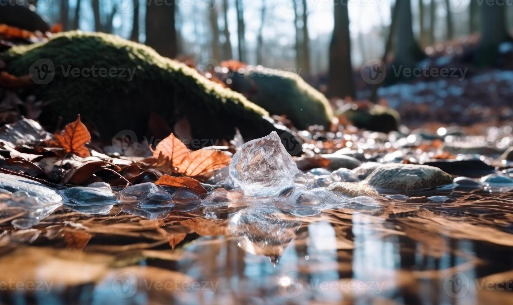 AI generated Fallen leaves in the ice on the river in the winter forest photo