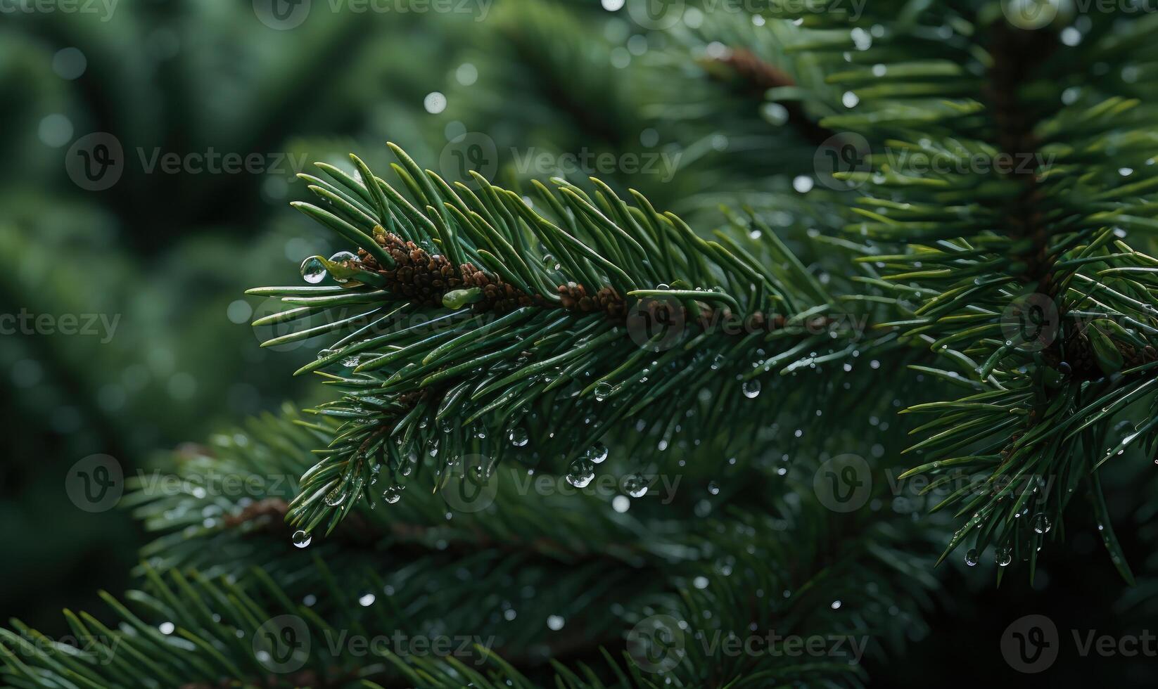 AI generated Close-up of spruce branches with red berries on blurred background photo