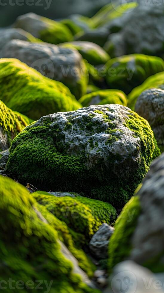 AI generated Explore the texture and vibrant green hues of moss covering rocks in a natural setting, background image, generative AI photo