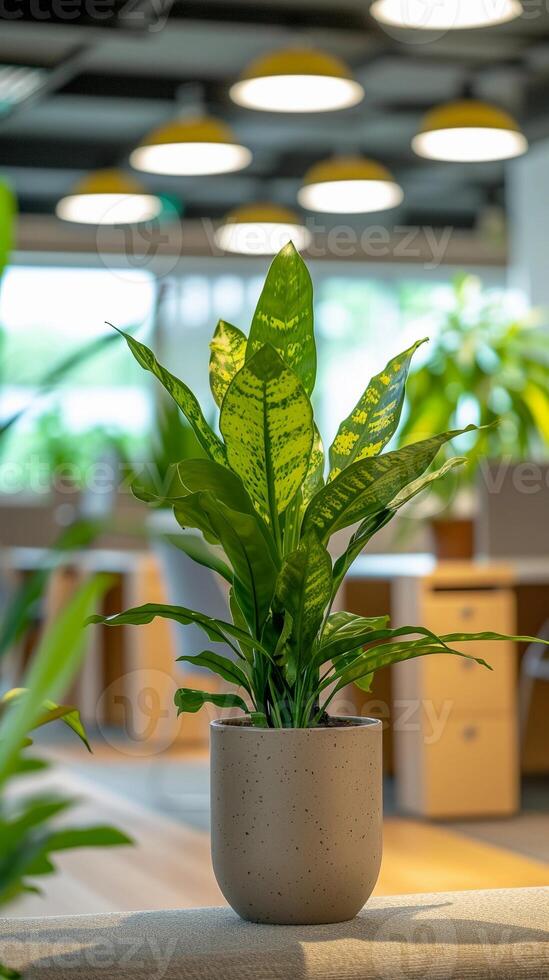 AI generated Office Plantscape, Showcase a variety of indoor plants strategically placed around the office, background image, generative AI photo