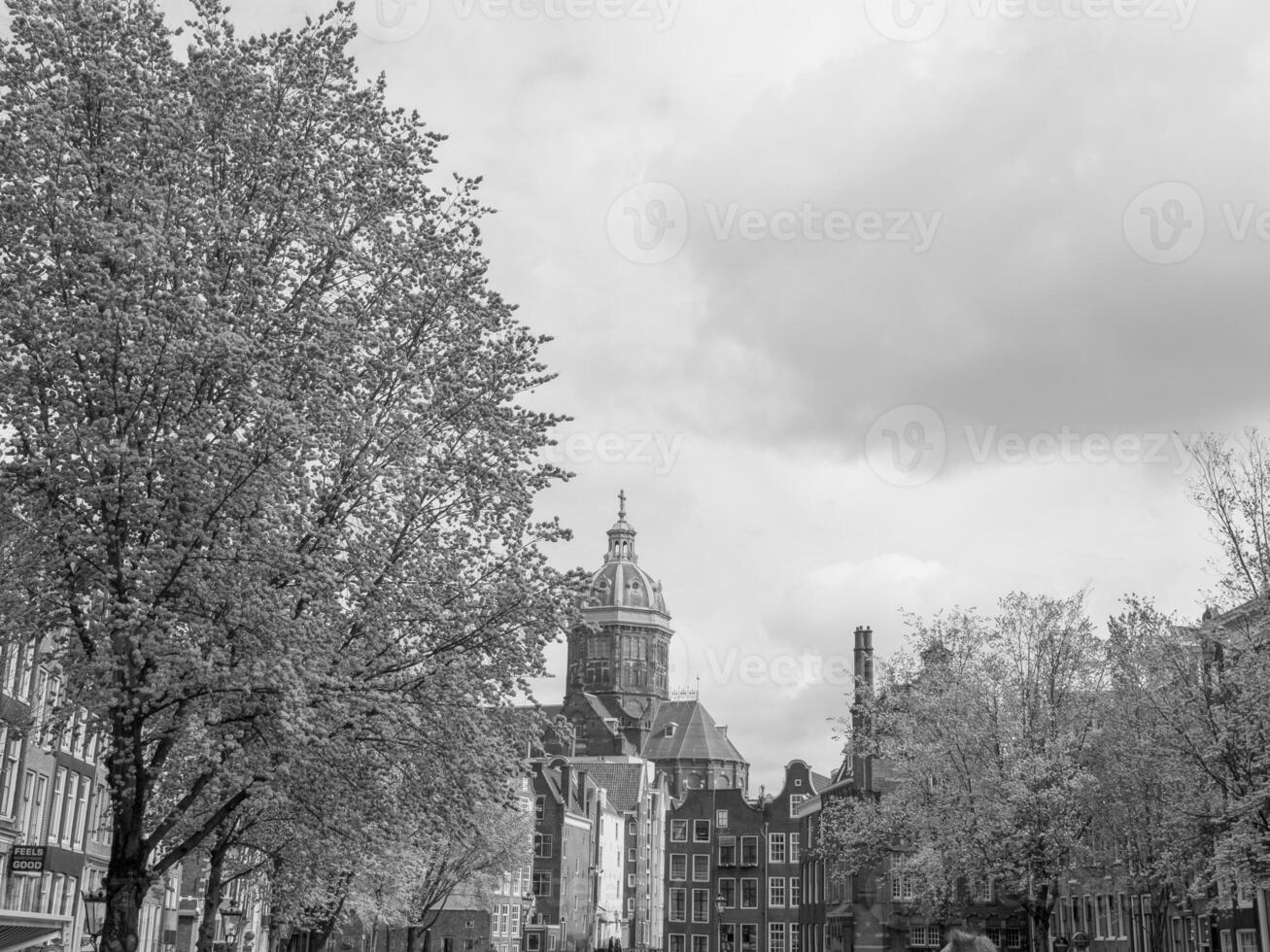 Amsterdam in the netherlands photo