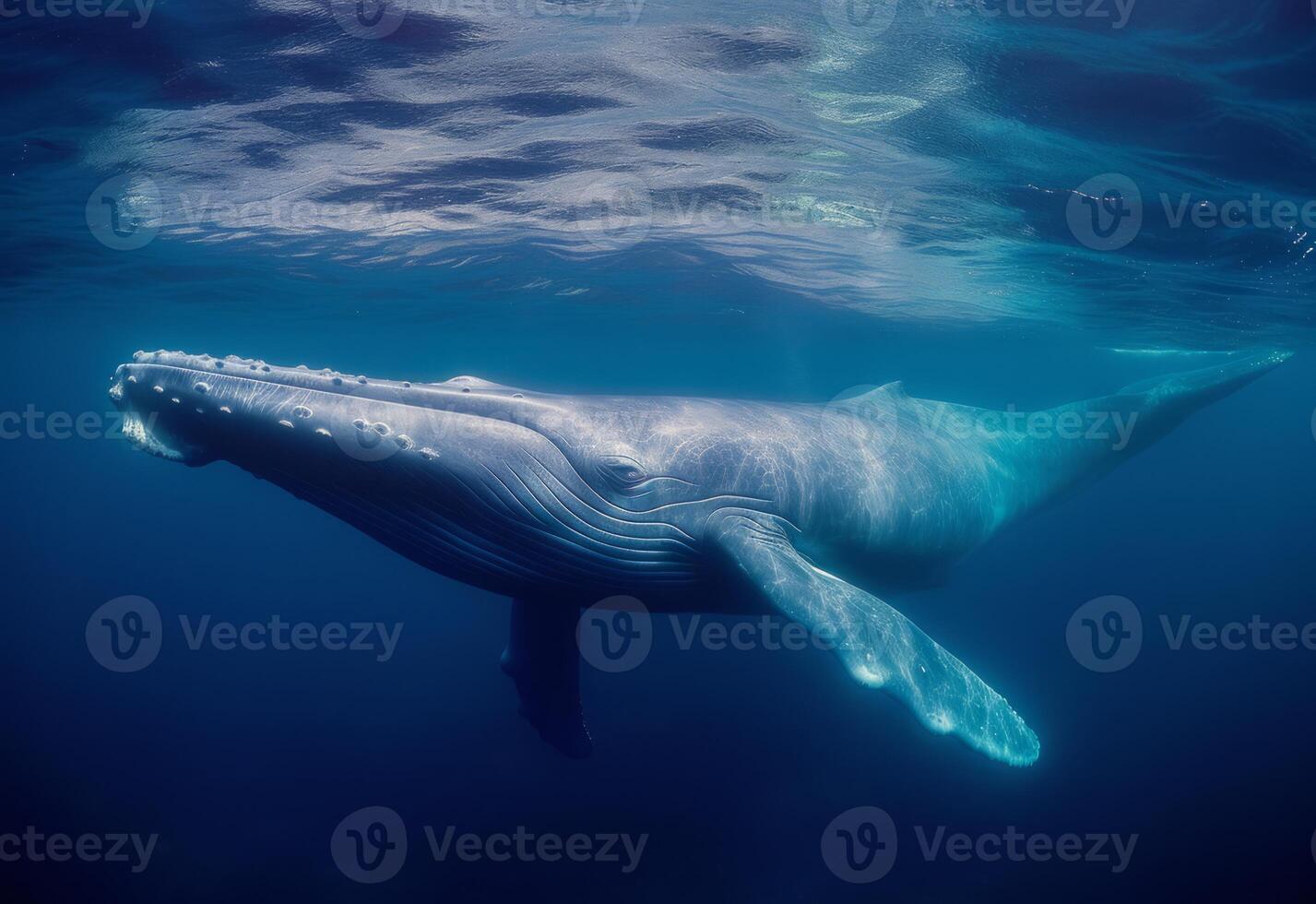 AI generated The Graceful Presence of a Blue Whale Swimming in the Vastness of the Ocean photo
