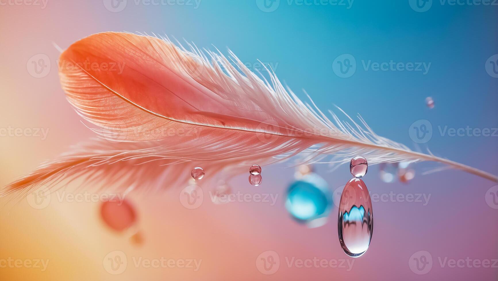 Beautiful feather, drop of water, color background photo