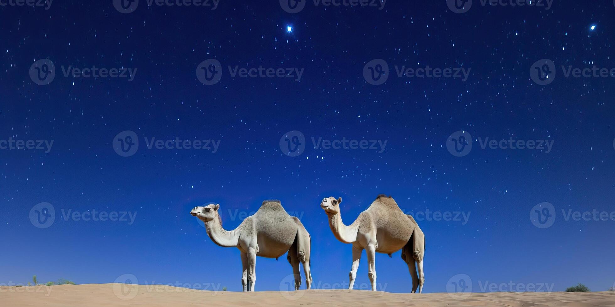 AI generated camels in the desert under the starry sky. photo
