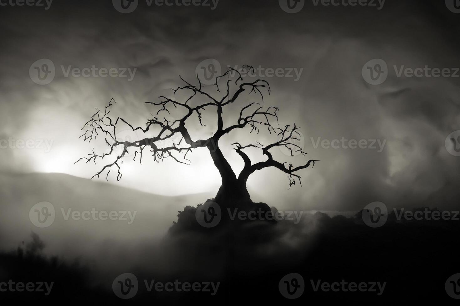 Silhouette of scary Halloween tree on dark foggy toned background with moon on back side. photo