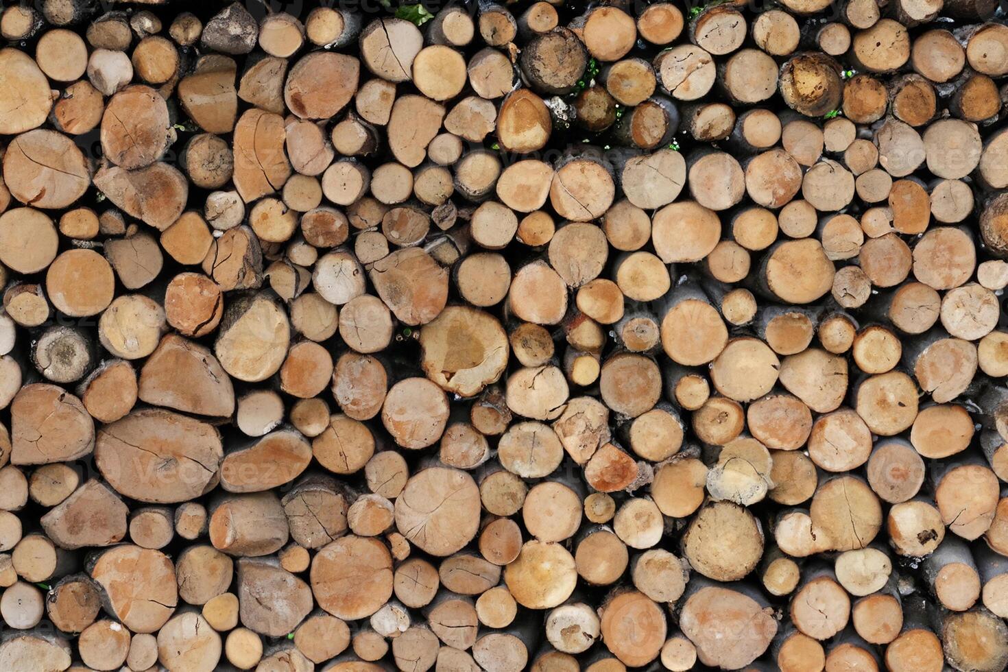 Close up wooden stacked sawn logs for background or abstraction photo