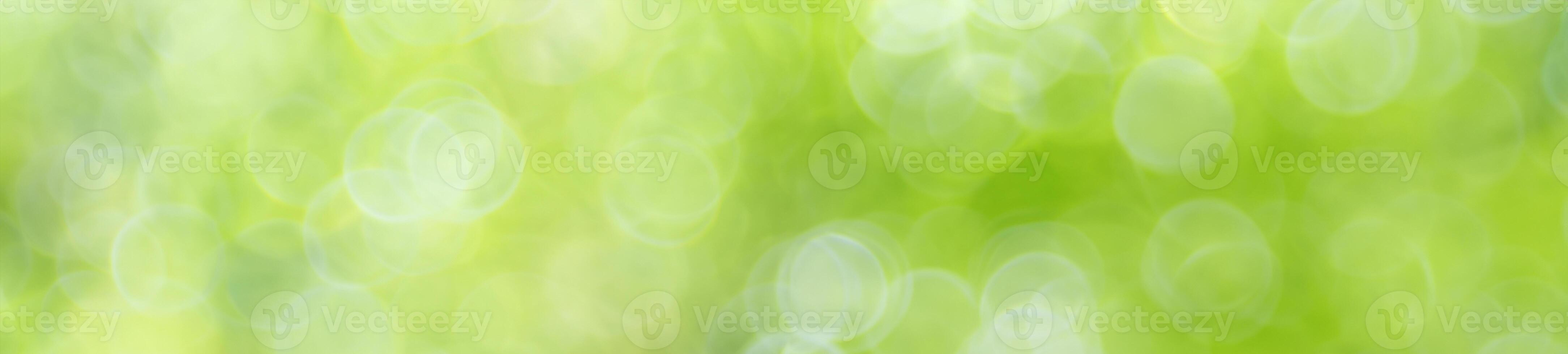 Abstract nature light of green leaf in garden using as background cover page photo