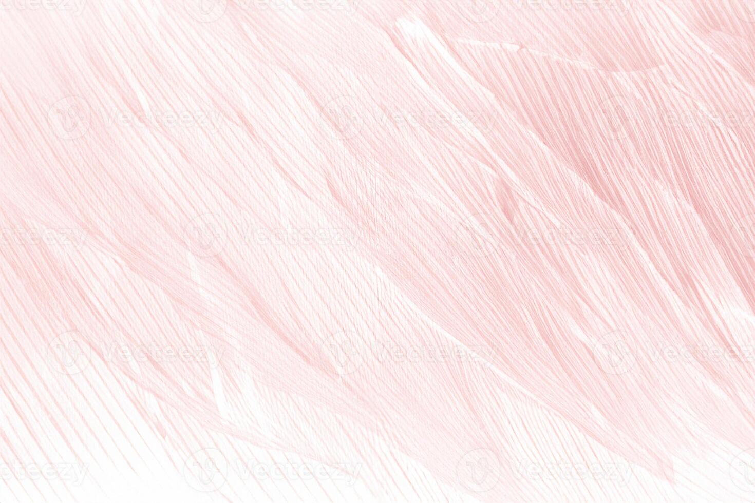 Beautiful line soft pink feather pattern texture background photo
