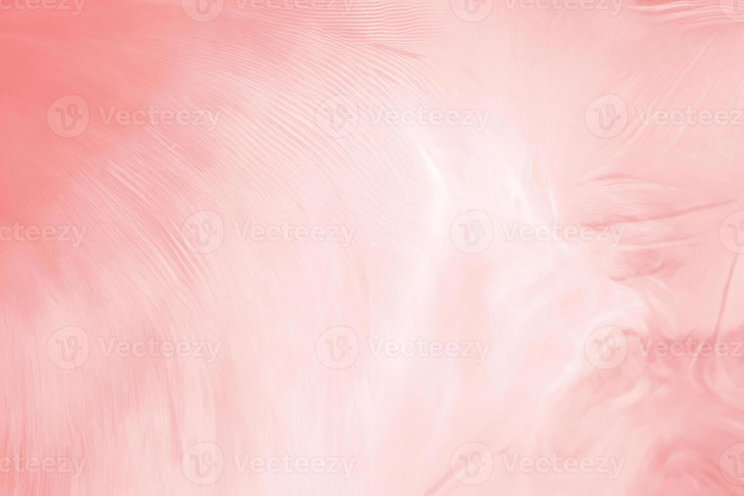 Beautiful line soft pink feather pattern texture background photo