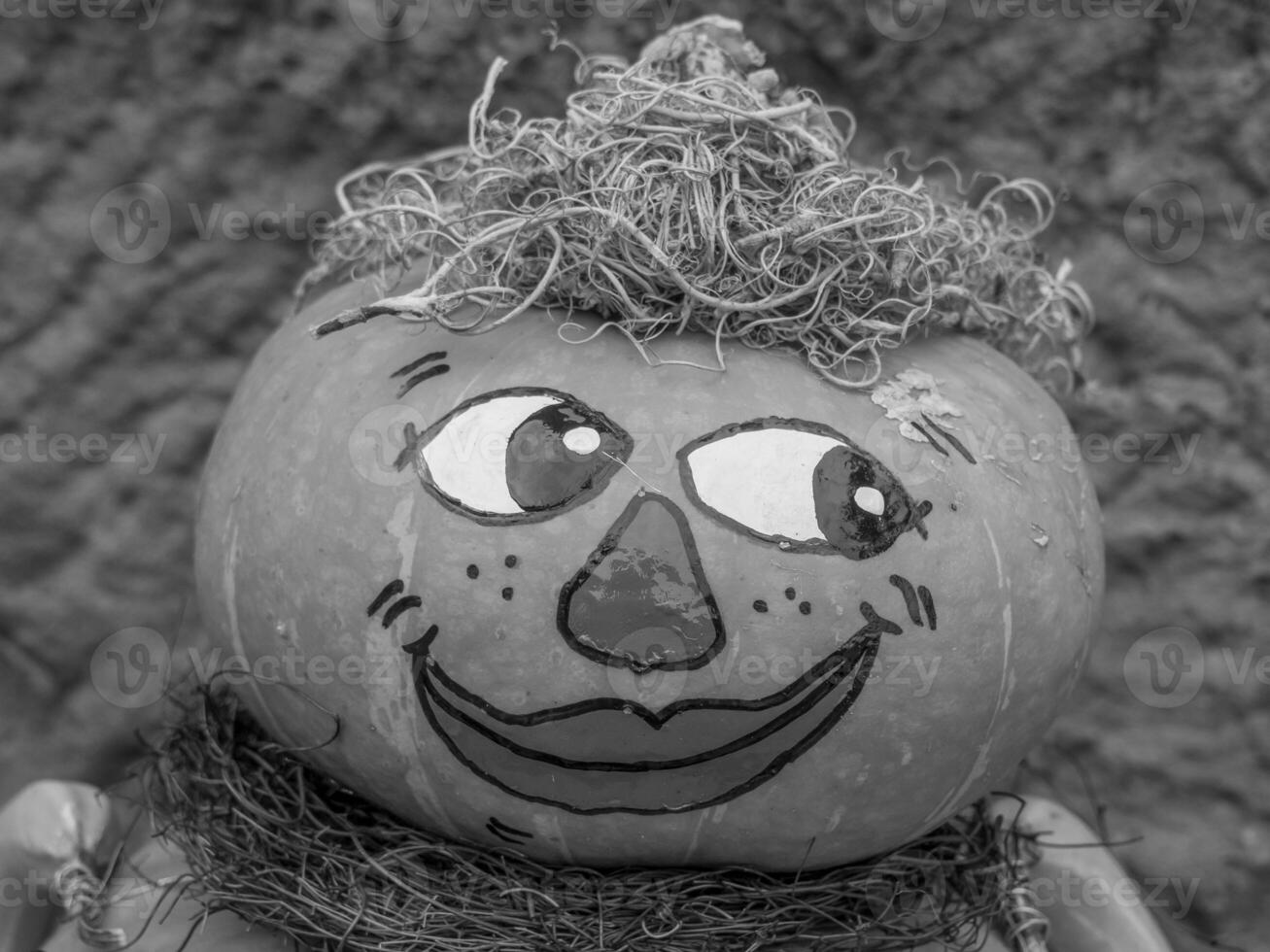 pumpkins in the german westphalia photo