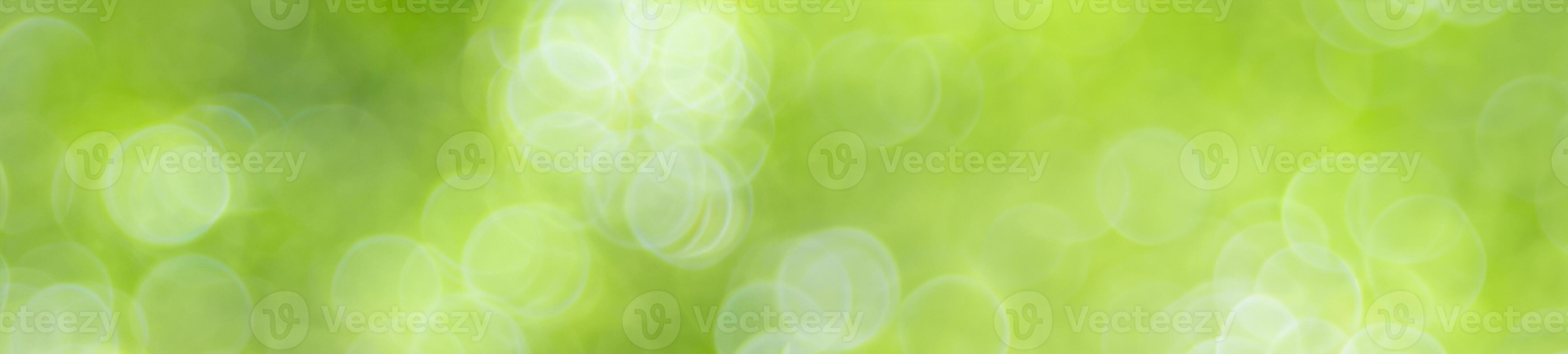 Abstract nature light of green leaf in garden using as background cover page photo